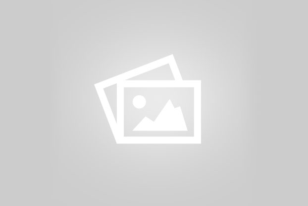طعم، سلامت و اصالت؛ سه دلیل برای انتخاب چای ریحانی در لاهیجان